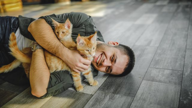A young man laying on the floor playing with two orange kittens.