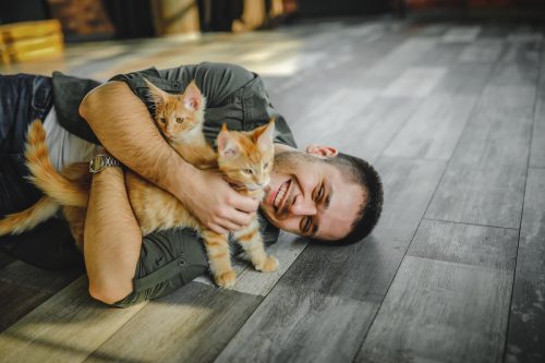 A young man laying on the floor playing with two orange kittens.