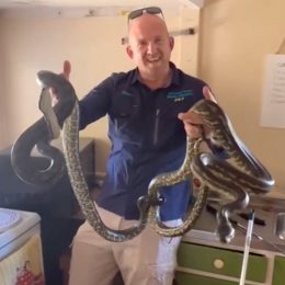 Woman Found Pythons Mating in Her Kitchen After Noticing Microwave Moving by Itself