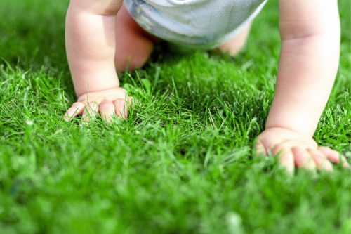 close-up of baby boy crawling on the grass