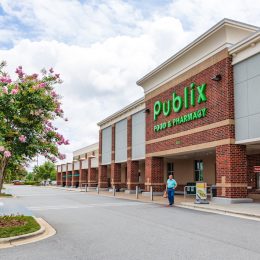Side view of a Publix grocery store with a pink flowering tree in front.
