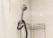 Snake Wrapped Around Shower Head