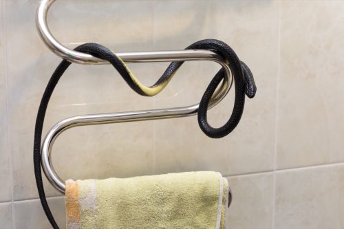 Snake on a Towel Rack