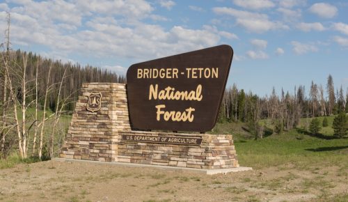 Bridger-Teton National Forest