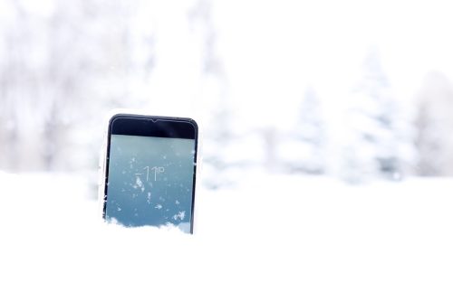 smartphone lie in snow in forest and show degrees on screen in winter time
