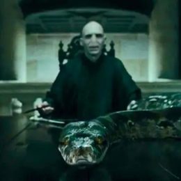 Scientists Discover ​​New "Indestructible" Species And Name it After Lord Voldemort's Snake From the "Harry Potter" Books