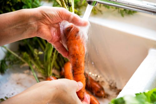 Home grown freshly harvested carrots being washed under a tap in a domestic kitchen