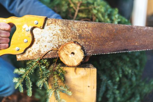 Close up of a saw being used to trim the trunk of a Christmas tree.