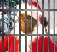 Grinch Arrested After Allegedly Punching Reindeer at Christmas Party