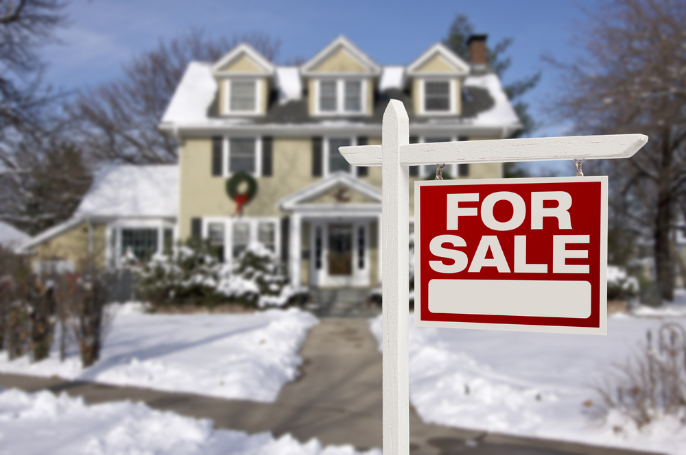 A "for sale" sign in front of a house covered in snow