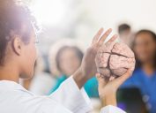 Professor holding model of a brain in front of students.