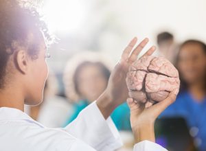 Professor holding model of a brain in front of students.