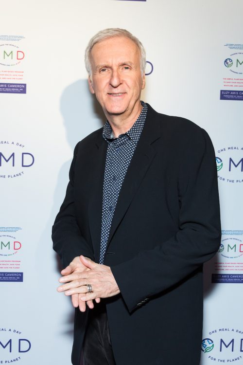James Cameron at the launch party for Suzy Amis Cameron's book in 2018