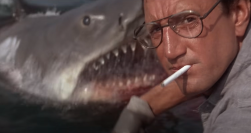 A screenshot of the shark in "Jaws"