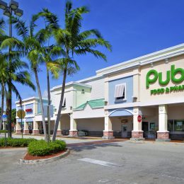 A Publix in a strip mall in Florida with palm trees in the foreground.
