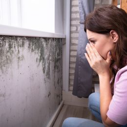 Shocked Young Woman Looking At Mold On Wall