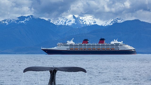The,Whale,Shows,The,Tail,On,Cruise,Liner,And,Snow