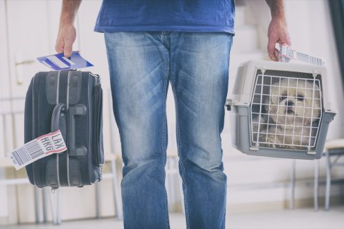man carrying dog through airport security