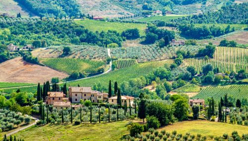 Shot of Tuscany, Italy in wine country. 