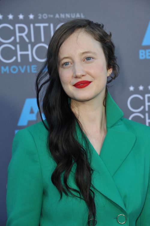 Andrea Riseborough at the 2015 Critics' Choice Awards