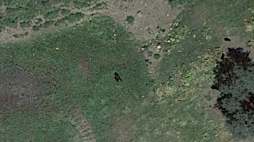 A Google Earth satellite image of what appears to be a shadow of a large creature