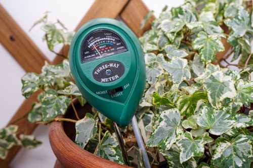 A house plant with a light, moisture and PH meter inserted.