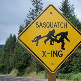 A closeup of a yellow road sign that says "sasquatch crossing"