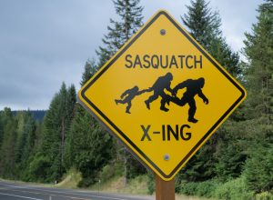 A closeup of a yellow road sign that says "sasquatch crossing"