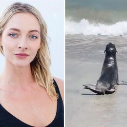 Terrifying Moment HBO Actress Was Attacked and Bitten by Angry Seal on a Popular Beach