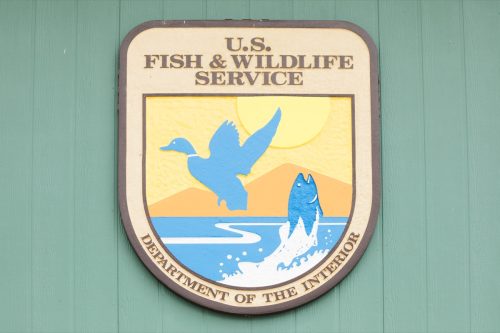 u.s. fish and wildlife logo