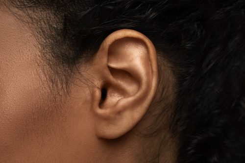 closeup of an ear