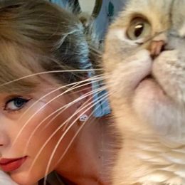 Taylor Swift's Cat Olivia Benson Is the Third-Richest Pet In the World, With a Net Worth $97 Million. Here are the Top 10.