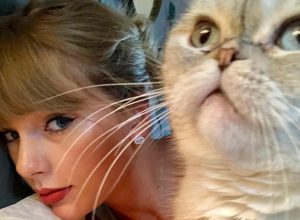 Taylor Swift's Cat Olivia Benson Is the Third-Richest Pet In the World, With a Net Worth $97 Million. Here are the Top 10.