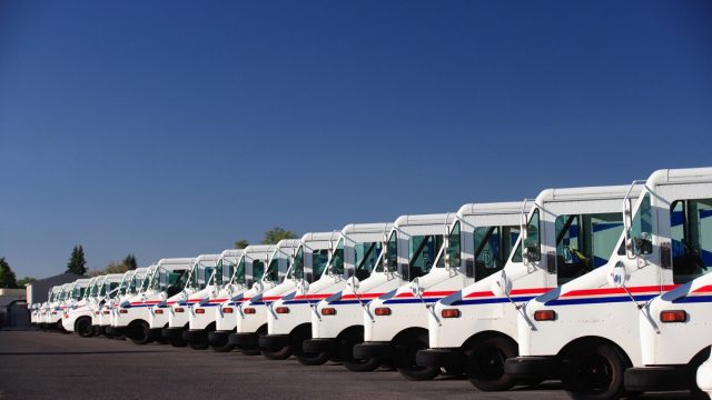 A group of fleet vehicles parked in a line.