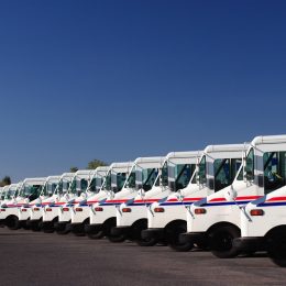 A group of fleet vehicles parked in a line.