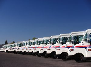 A group of fleet vehicles parked in a line.