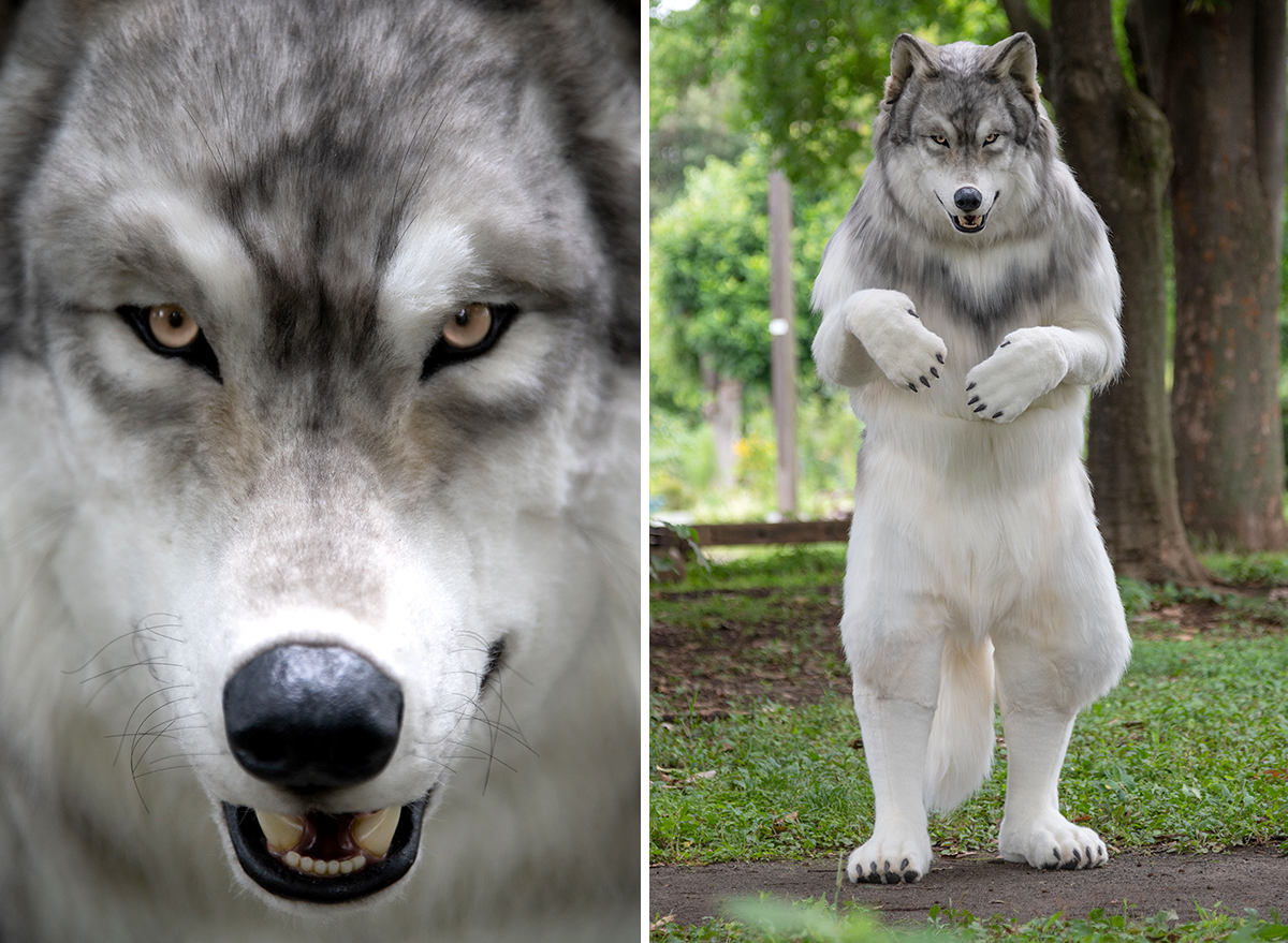 Man Spends $22,000 on Super-Realistic Full-Size Wolf Suit