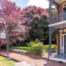 Cherry blossoms and building in Natchez, Mississippi