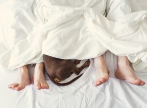 Feet of a man and a woman and a dog's paw under a blanket