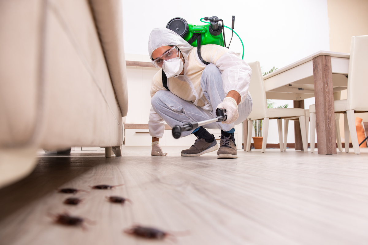 An exterminator dealing with a bug infestation.