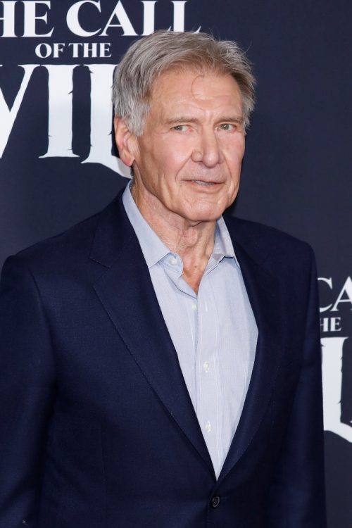 Harrison Ford at the premiere of "The Call of the Wild" in 2020