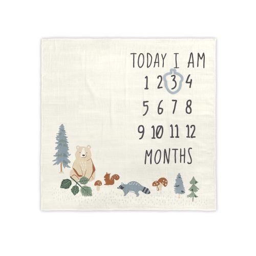 milestone blanket from Gerber modern moments sold at Walmart