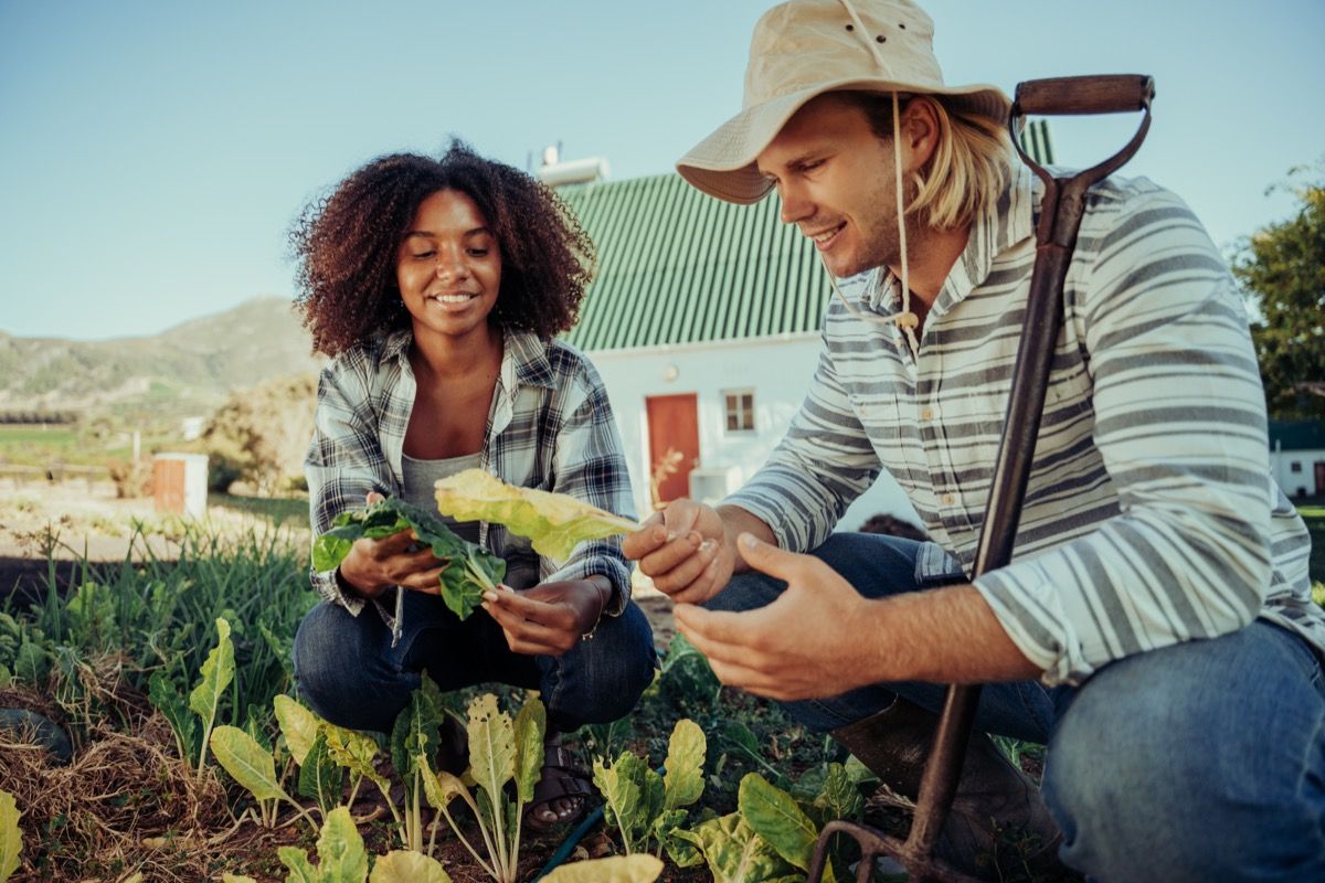 working together in community garden