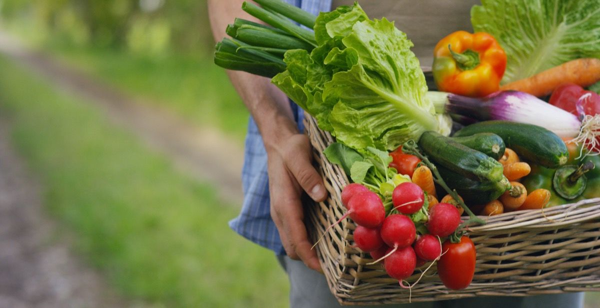 carrying basket with vegetables