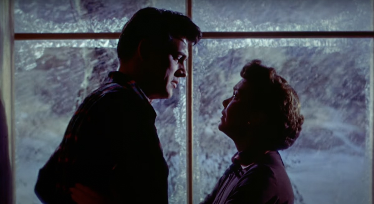 Rock Hudson and Jane Wyman in All That Heaven Allows