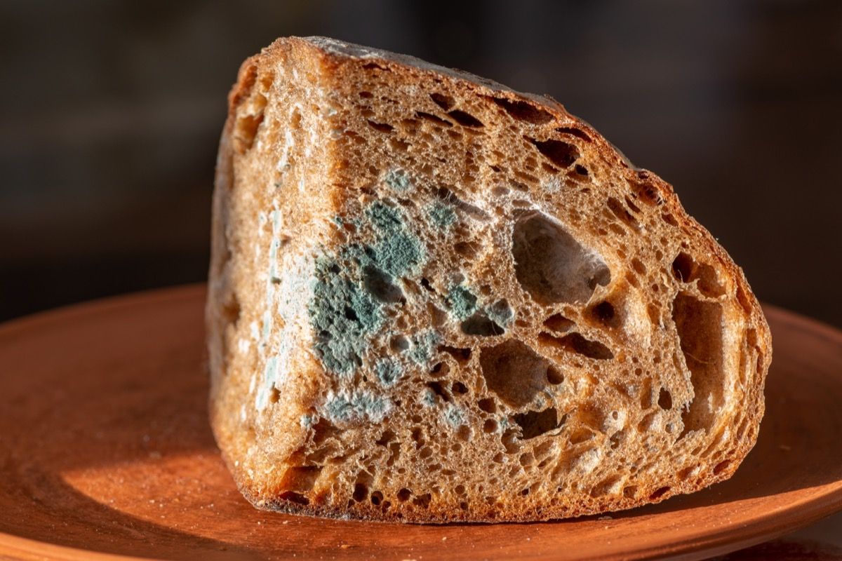 What Happens If You Accidentally Eat Moldy Food — Best Life