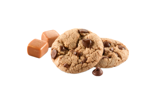 Caramel Chocolate Chip Girl Scout Cookie