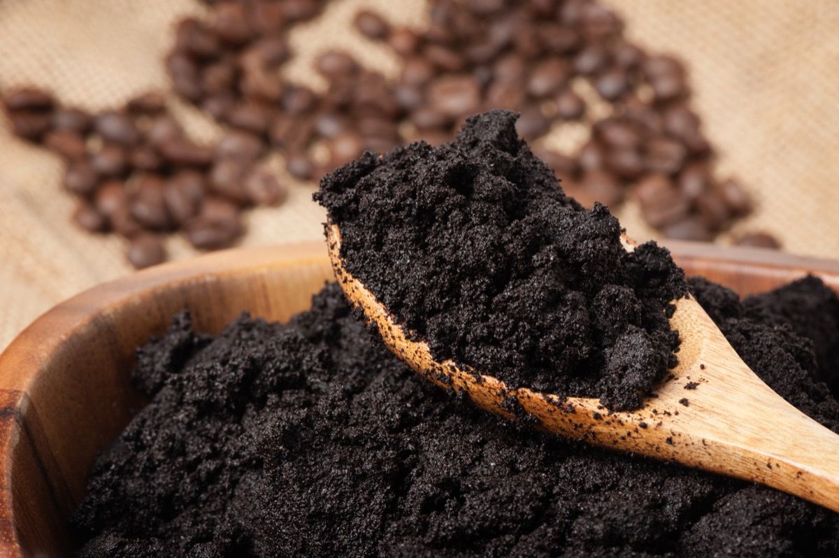 Dark Coffee Grounds