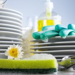 Washing glasses and plates with detergent and fresh flowers