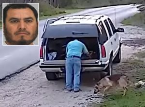 Man Who Shockingly Abandoned His Dog in Broad Daylight Has Been Arrested and Charged, Police Say
